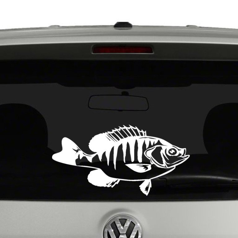 Crappie Fish Fishing Vinyl Decal Sticker Car Window