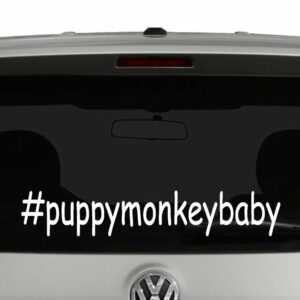 Puppy Monkey Baby Hashtag Vinyl Decal Sticker