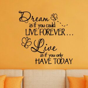 Dream As If You Could Live Forever Live As If You Only Have Today Vinyl Wall Decal