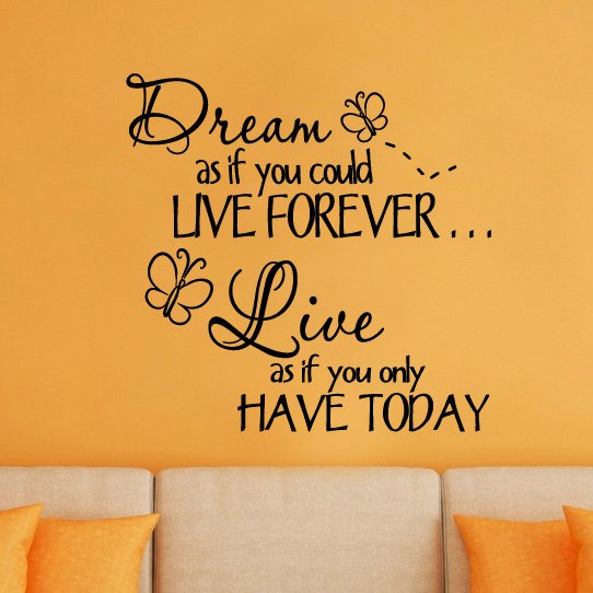 Dream As If You Could Live Forever Live As If You Only Have Today Vinyl Wall Decal