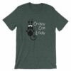 Crazy Cat Lady Cat Lovers Funny T-Shirt - Image 4