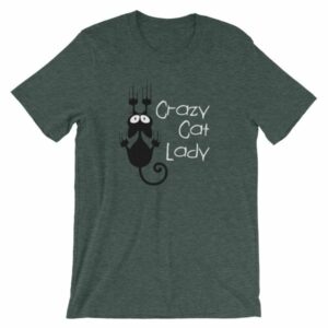 Crazy Cat Lady Cat Lovers Funny T-Shirt - Image 4