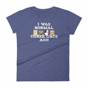 I Was Normal Three Cats Ago Funny Cat Lovers Women's T-Shirt - Image 6