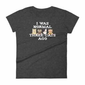 I Was Normal Three Cats Ago Funny Cat Lovers Women's T-Shirt - Image 3