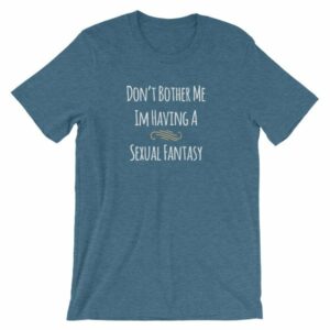 Don't Bother Me I'm Having a Sexual Fantasy Funny T-Shirt - Image 3