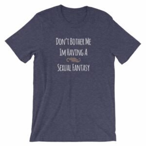 Don't Bother Me I'm Having a Sexual Fantasy Funny T-Shirt - Image 5