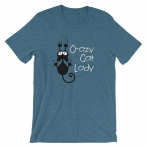 Crazy Cat Lady Cat Lovers Funny T-Shirt - Image 3
