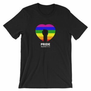 LGBT Pride Love Wins Rainbow Heart Pride Month Awareness