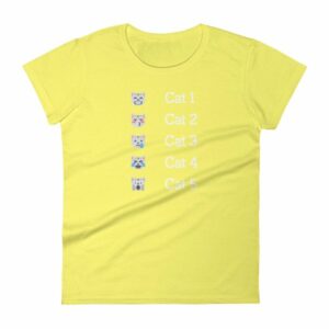 Hurricane Category Cat Scale Funny Cat lovers Women's T-Shirt - Image 12