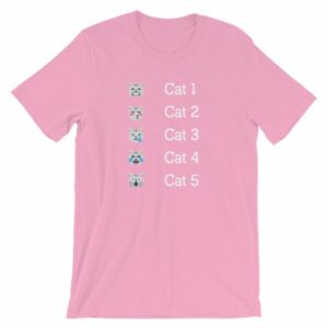 Hurricane Category Cat Scale Funny Cat lovers T-Shirt - Image 14