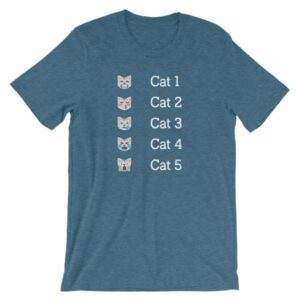 Hurricane Category Cat Scale Funny Cat lovers T-Shirt - Image 2