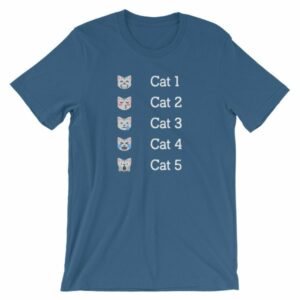 Hurricane Category Cat Scale Funny Cat lovers T-Shirt - Image 9
