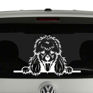 Poodle Dog Peeking Vinyl Decal Sticker