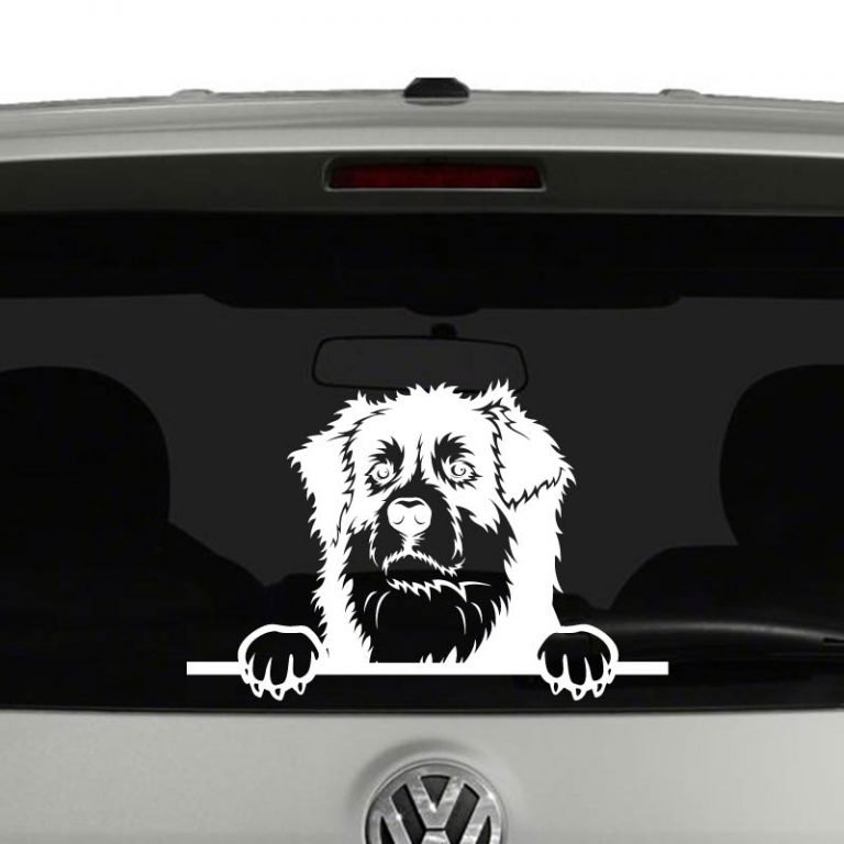 Australian Shepherd Dog Peeking Vinyl Decal Sticker