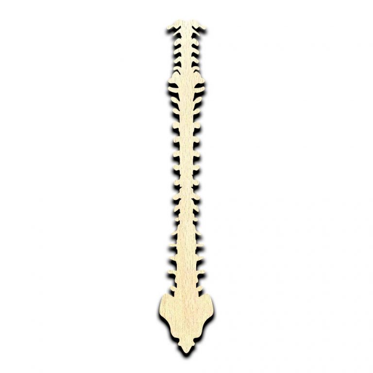 Spine Cut Out Unfinished Wood Shape Craft Supply