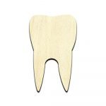 Tooth Molar Unfinished Wood Shape Craft Supply