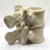 Skeleton Spine Vase Planter Pencil Cup 3D Printed