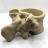 Skeleton Spine Vase Planter Pencil Cup 3D Printed - Image 4