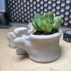Skeleton Spine Vase Planter Pencil Cup 3D Printed - Image 2