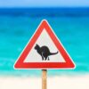 Warning Cat Pooping Sign 3D Printed - Cat Lover Gift - Gag Gift - Any Occasion - Image 5